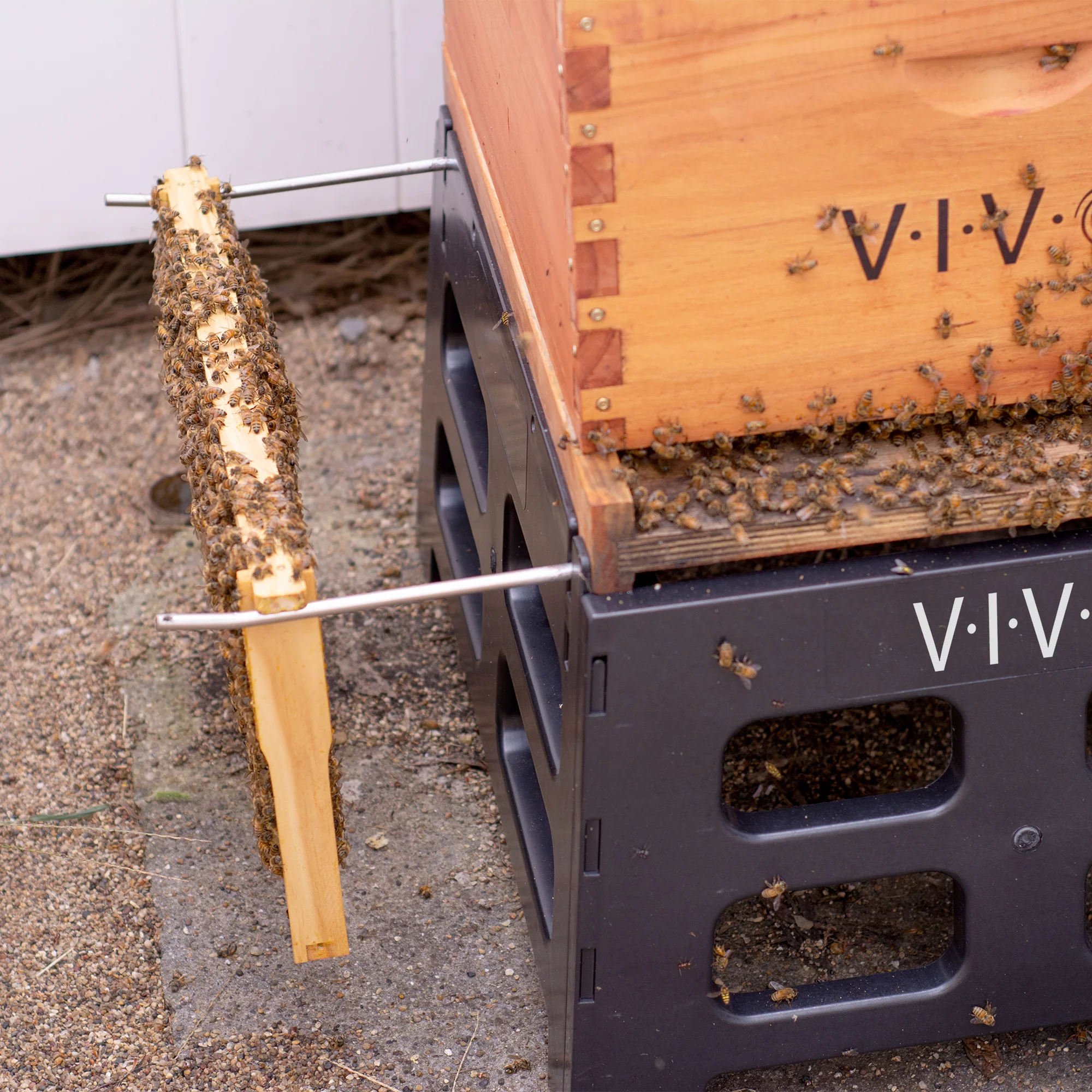 Black Plastic Beehive Stand - Image 6