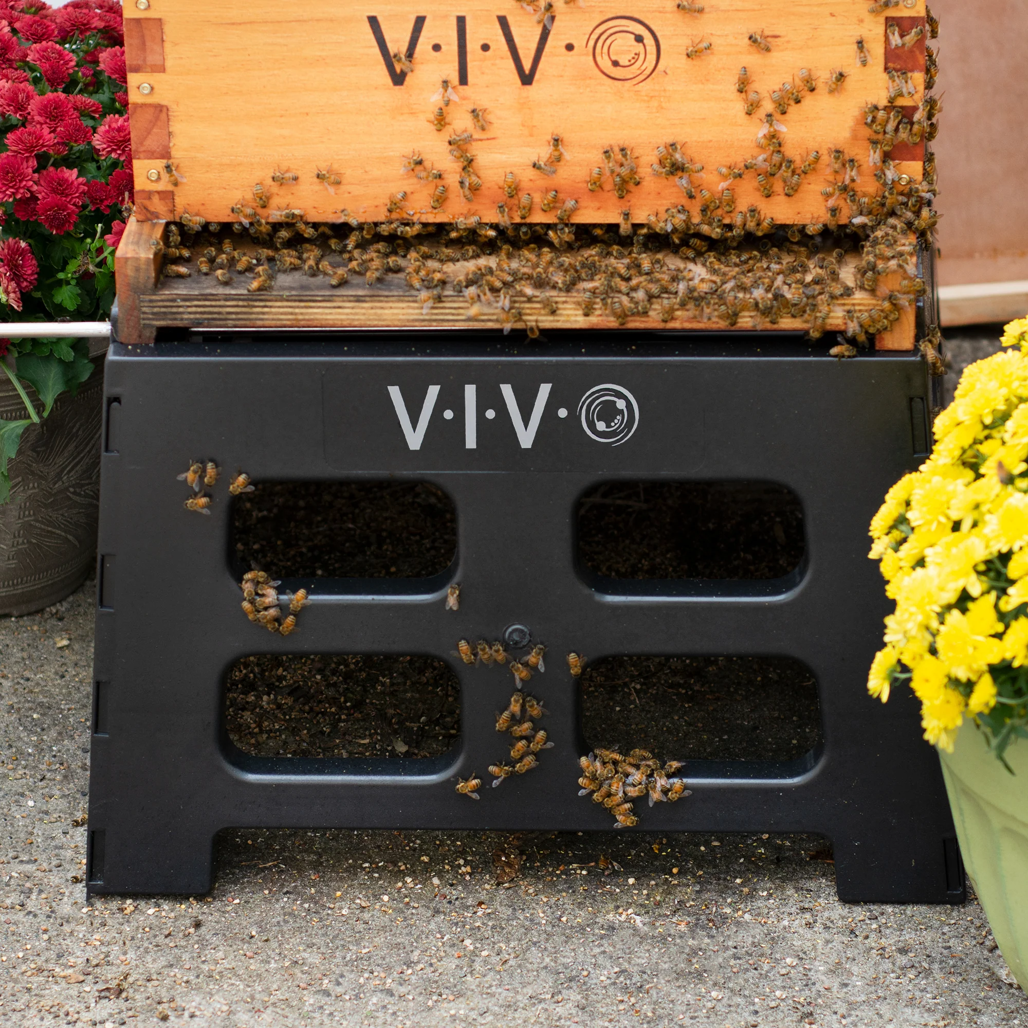 Black Plastic Beehive Stand - Image 7