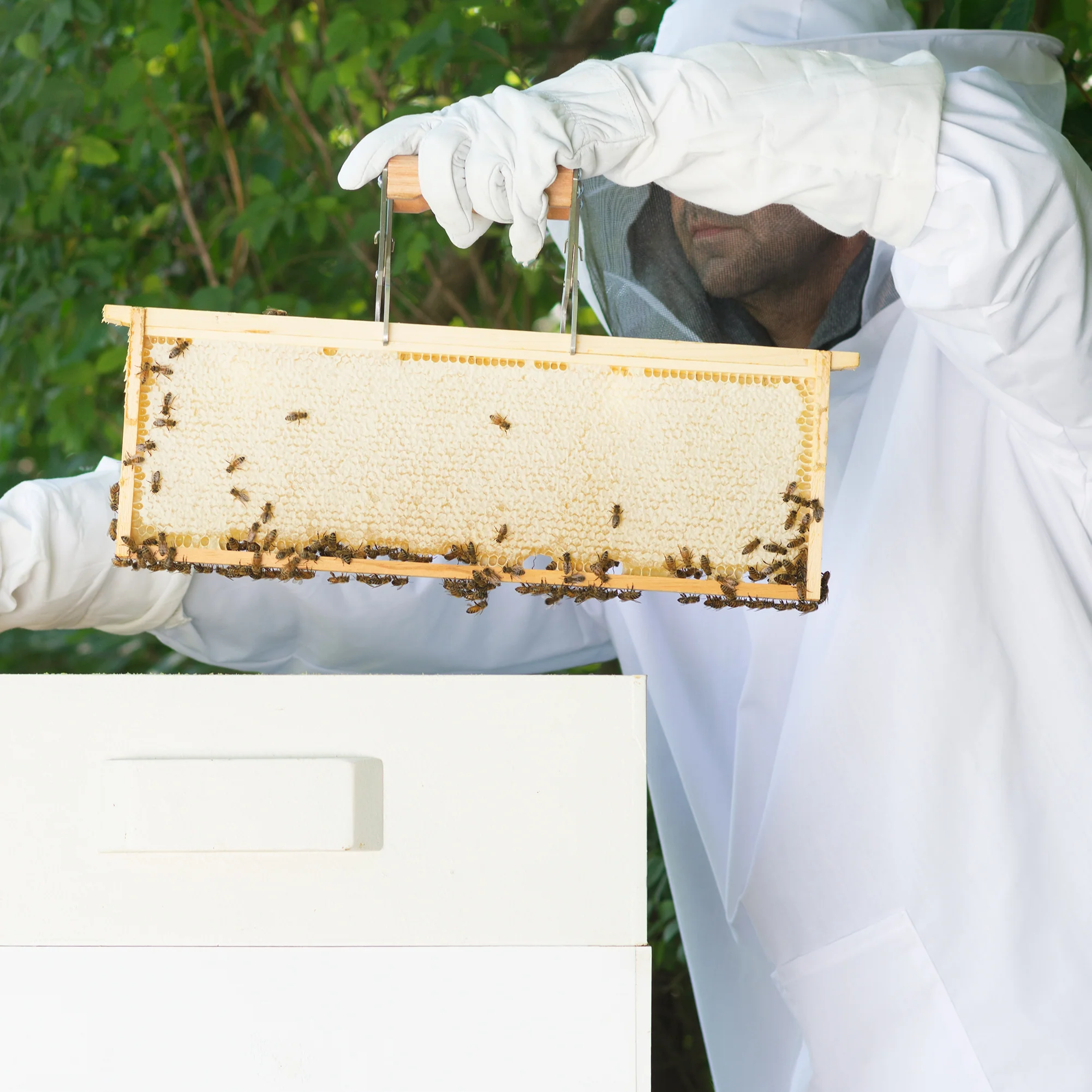 Large Beekeeping Jacket - Image 4