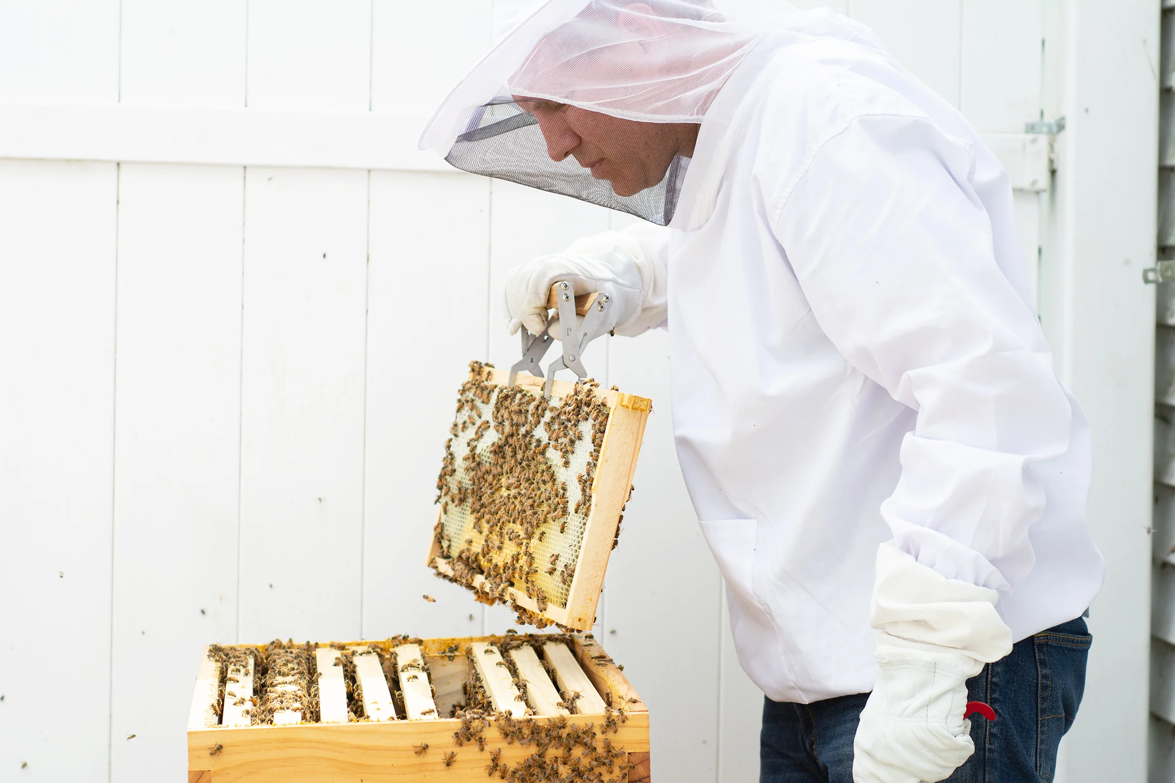 Large Beekeeping Jacket - Image 6
